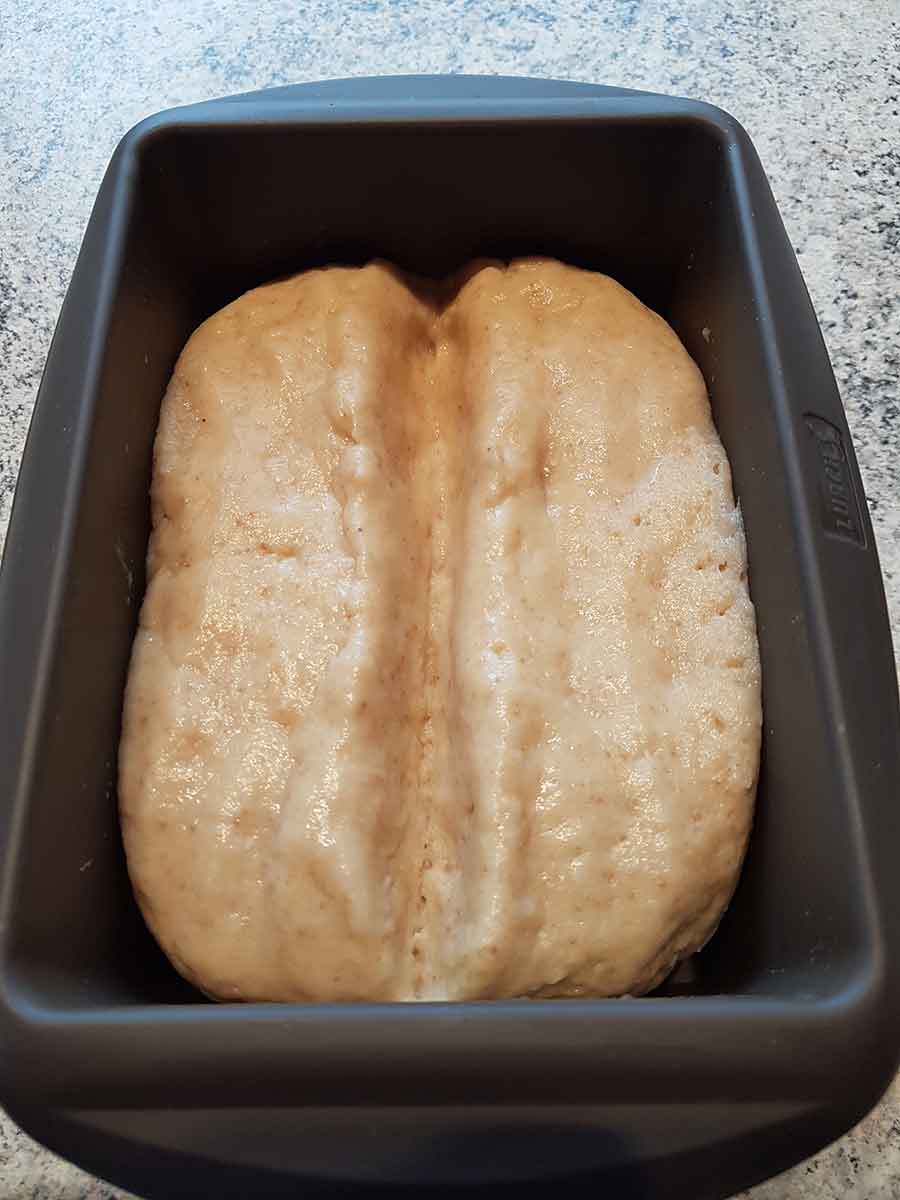 Toastbrot low-carb glutenfrei sojafrei eiweissbrot Paleo Backmischung Brot keto