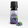 Pure Flavour BLAUBEERE Aroma
